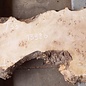 Mappa burl, approx. 1700 x 330/540 x 52mm