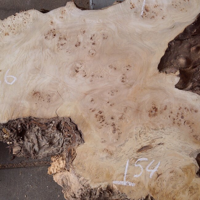 Mappa burl, approx. 1700 x 330/540 x 52mm