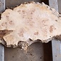 Mappa burl, approx. 1700 x 330/540 x 52mm