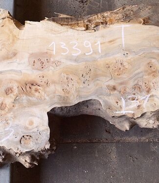 Mappa burl, approx. 1860 x 430/310/460 x 60mm