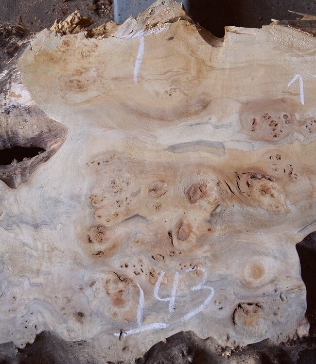 Pappel Maser Tischplatte, ca. 1860 x 430/310/460 x 60mm