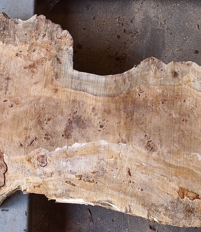 Pappel Maser Tischplatte, ca. 1860 x 430/310/460 x 60mm
