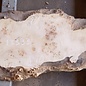 Pappel Maser Tischplatte, ca. 1780 x 400/330 x 55mm