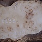 Pappel Maser Tischplatte, ca. 1780 x 400/330 x 55mm
