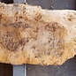 Pappel Maser Tischplatte, ca. 1780 x 400/330 x 55mm