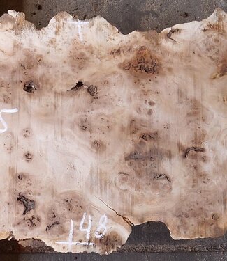 Pappel Maser Tischplatte, ca. 1780 x 480/410 x 55mm