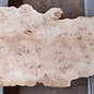 Mappa burl, approx. 1830 x 580/360 x 55mm