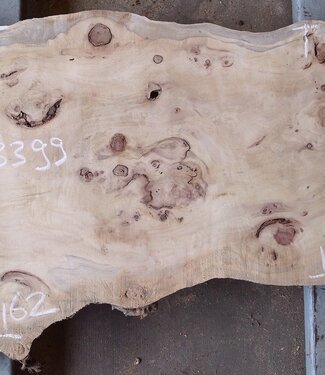 Pappel Maser Tischplatte, ca. 1410 x 620/500 x 70mm