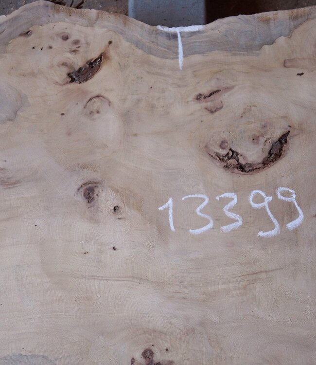 Pappel Maser Tischplatte, ca. 1410 x 620/500 x 70mm