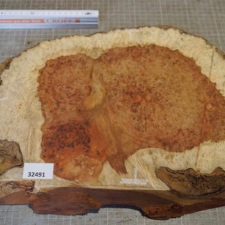 Amboina Maser, ca. 375 x 255 x 56mm, 4,1kg