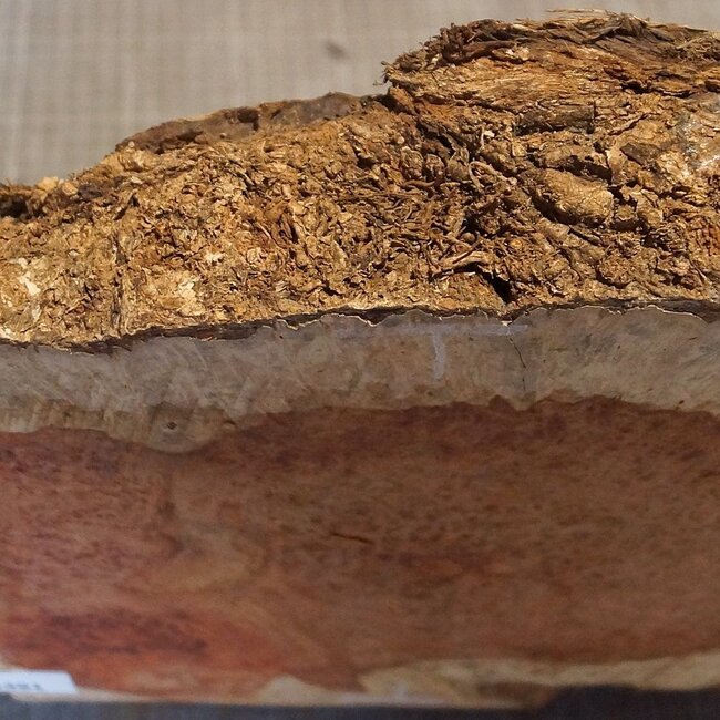 Amboina Maser, ca. 375 x 255 x 56mm, 4,1kg