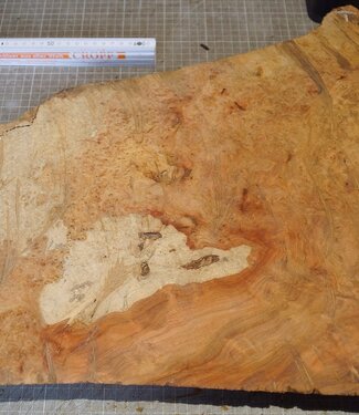 Amboina Maser, ca. 440 x 235/415/55mm, 4,32kg