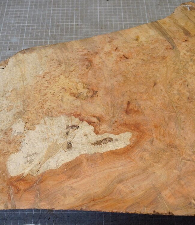 Amboina Maser, ca. 440 x 235/415/55mm, 4,32kg