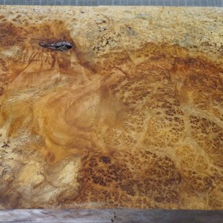 Amboina Maser, ca. 415 x 243 x 65mm, 4,8kg