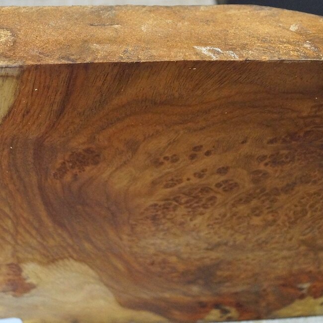 Amboina Maser, ca. 540 x 280 x 50mm, 4,7kg