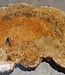 Amboyna Burl, approx.  530 x 380 x 56mm, 4,04kg