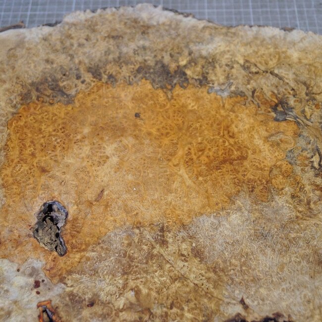 Amboina Maser, ca. 530 x 380 x 56mm, 4,04kg