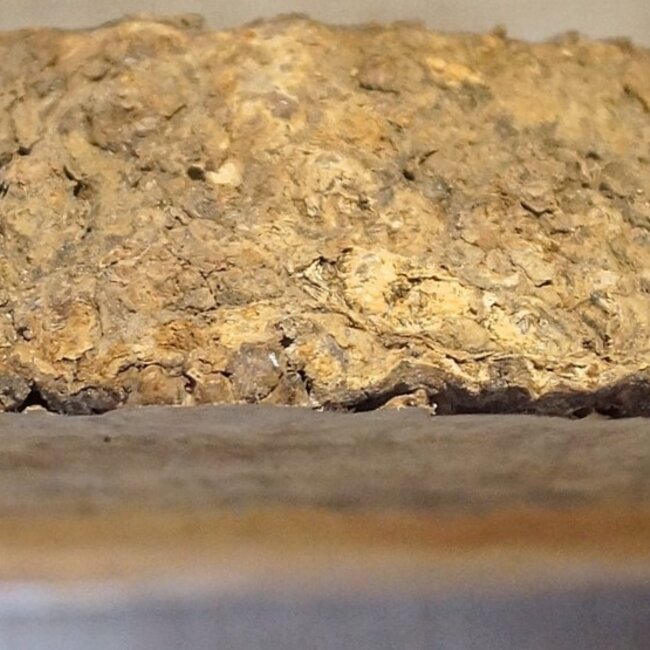 Amboina Maser, ca. 530 x 380 x 56mm, 4,04kg