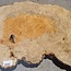 Amboyna Burl, approx.  530 x 380 x 56mm, 4,04kg