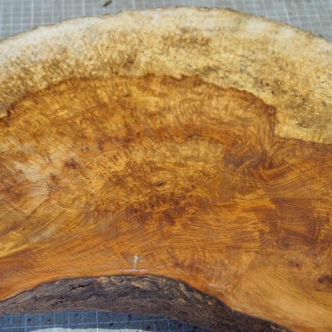 Amboina Maser, ca. 690 x 195/300/240 x 54mm, 6,28kg