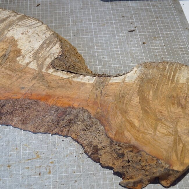 Amboyna Burl, approx. 690 x 195/300/240 x 54mm, 6,28kg