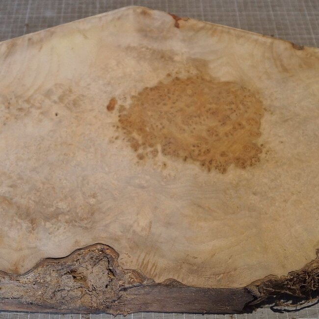 Amboina Maser, ca. 560 x 375 x 51mm, 6,12kg