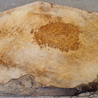 Amboina Maser, ca. 560 x 375 x 51mm, 6,12kg