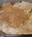 Amboyna Burl, approx. 560 x 375 x 51mm, 6,12kg