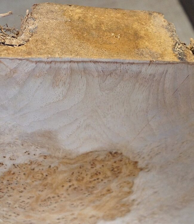 Amboina Maser, ca. 560 x 375 x 51mm, 6,12kg