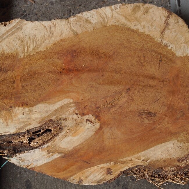 Amboyna Burl, approx. 845 x 465 x 50mm, 5kg