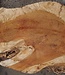 Amboyna Burl, approx. 845 x 465 x 50mm, 5kg