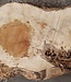 Amboyna Burl, approx. 845 x 465 x 50mm, 5kg