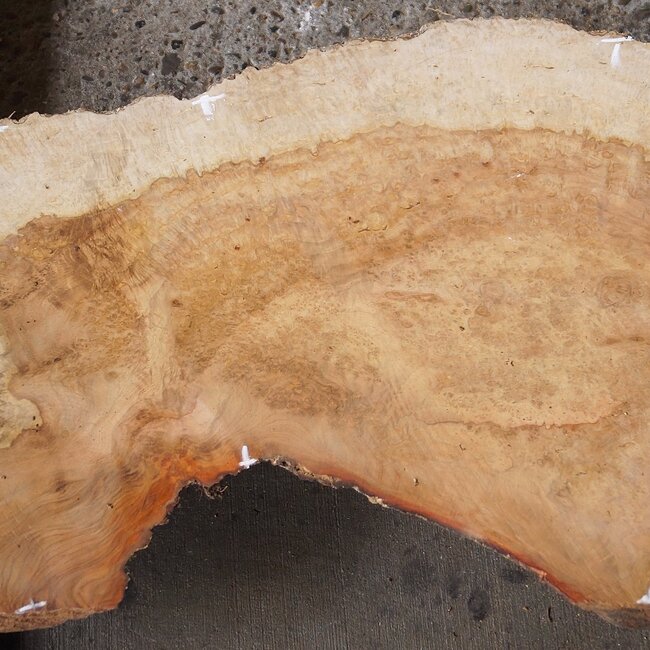 Amboina Maser, ca. 630 x 360/280/415 x 25/60mm, 6kg