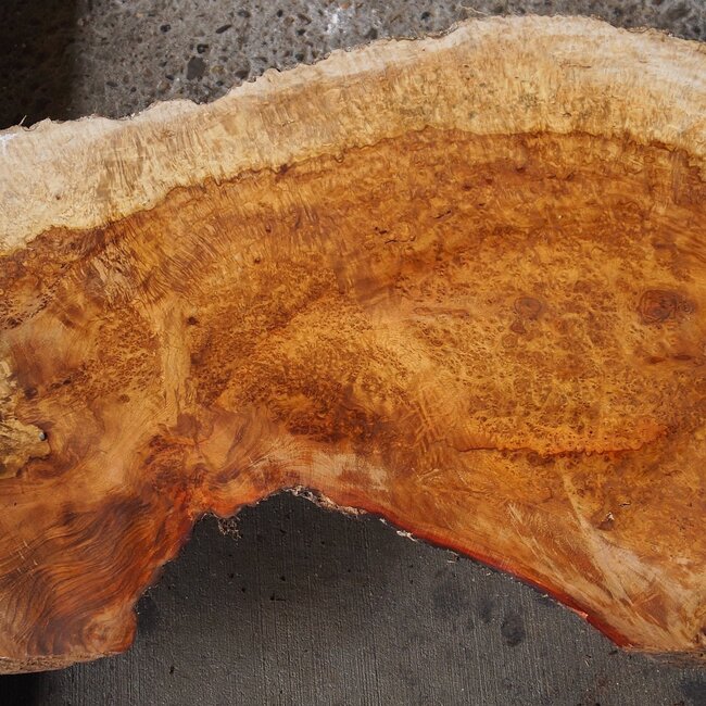 Amboina Maser, ca. 630 x 360/280/415 x 25/60mm, 6kg