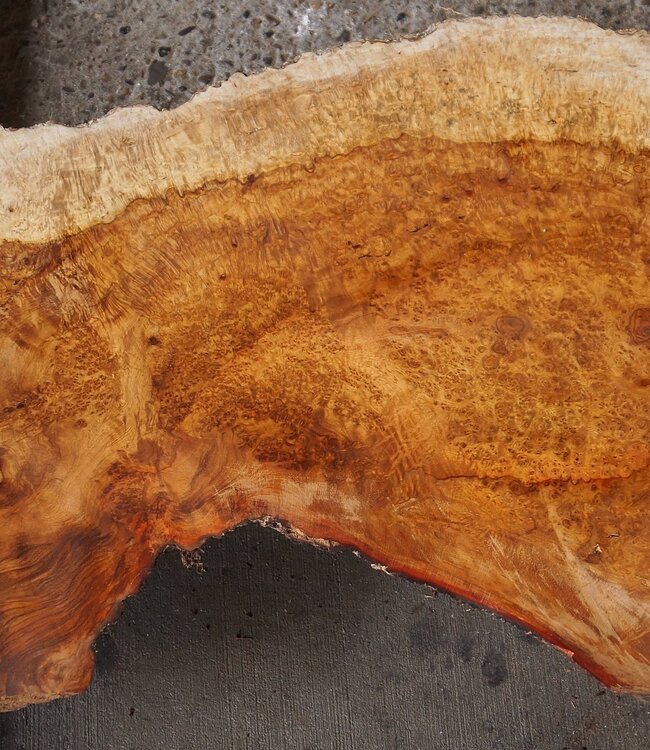 Amboina Maser, ca. 630 x 360/280/415 x 25/60mm, 6kg