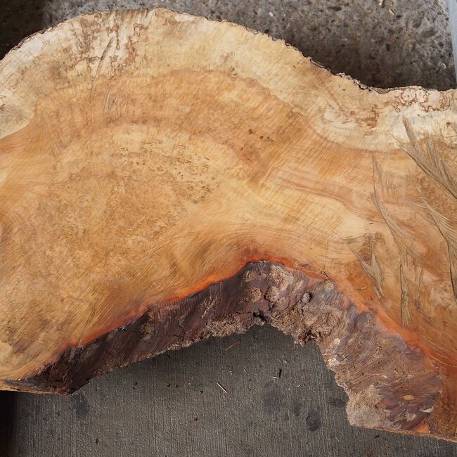 Amboina Maser, ca. 630 x 360/280/415 x 25/60mm, 6kg