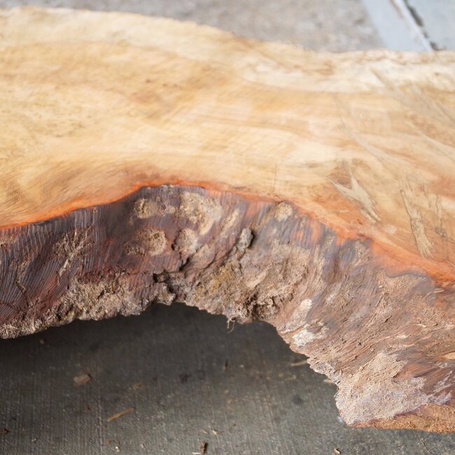 Amboina Maser, ca. 630 x 360/280/415 x 25/60mm, 6kg