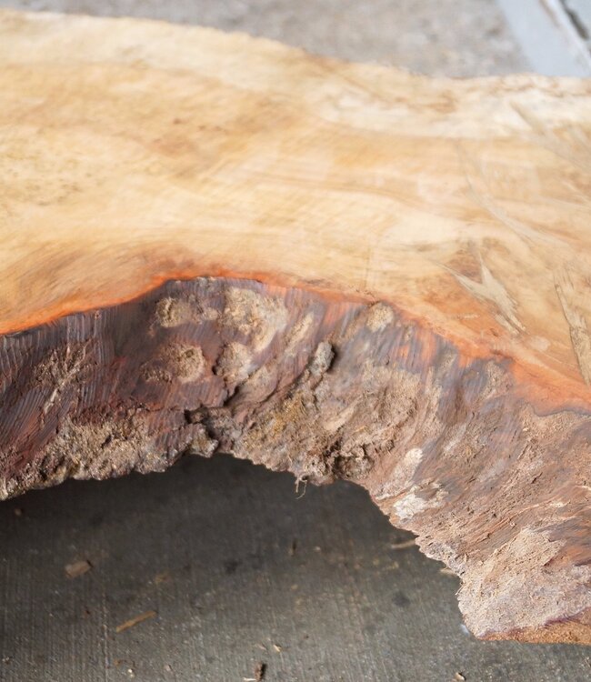 Amboyna Burl, approx. 630 x 360/280/415 x 25/60mm, 6kg