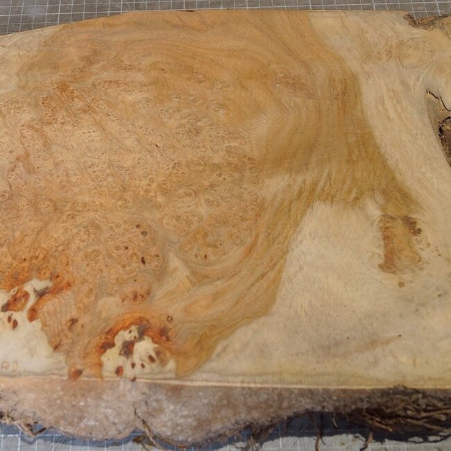 Amboina Maser, ca. 520 x 290 x 50mm, 4,18kg