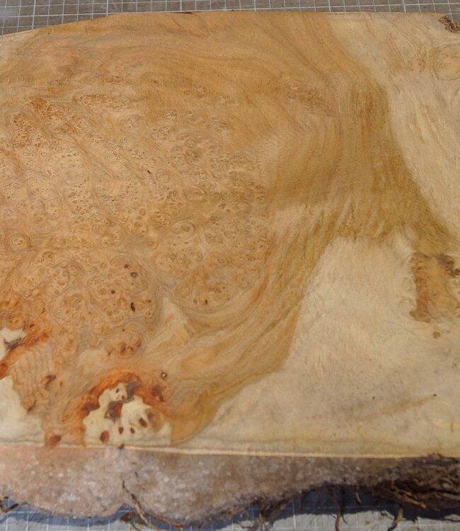 Amboina Maser, ca. 520 x 290 x 50mm, 4,18kg