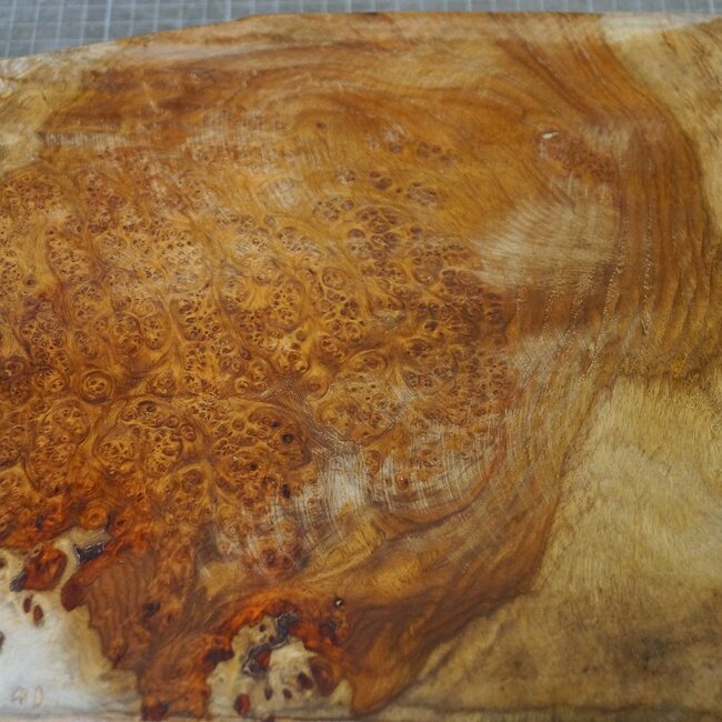 Amboina Maser, ca. 520 x 290 x 50mm, 4,18kg