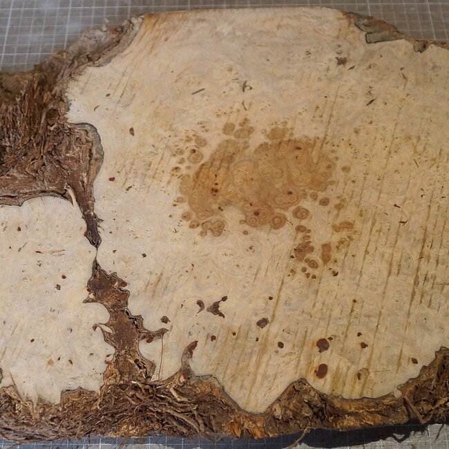 Amboina Maser, ca. 520 x 290 x 50mm, 4,18kg