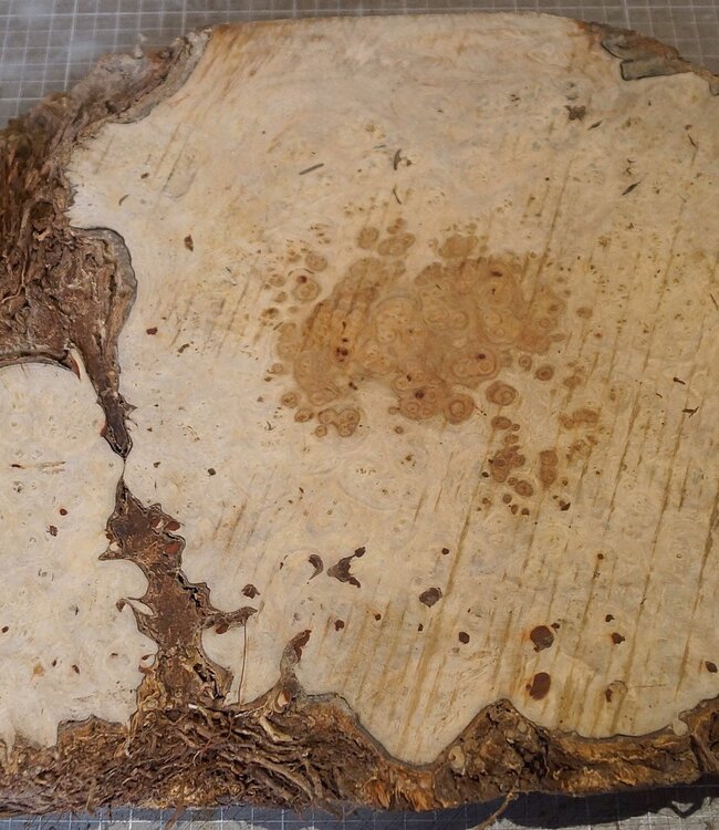 Amboina Maser, ca. 520 x 290 x 50mm, 4,18kg