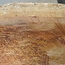 Amboyna Burl, approx. 520 x 290 x 50mm, 4,18kg