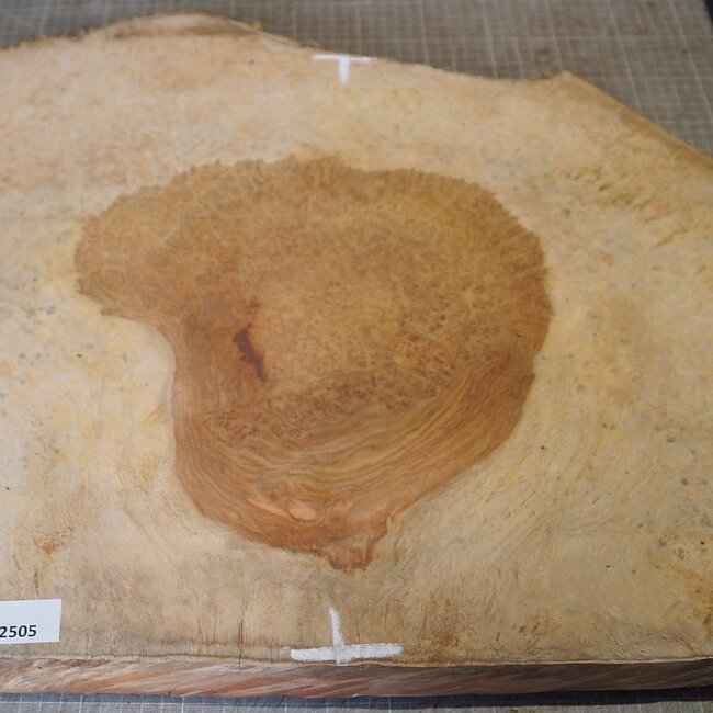Amboina Maser, ca. 580 x 435 x 50mm, 8,06kg