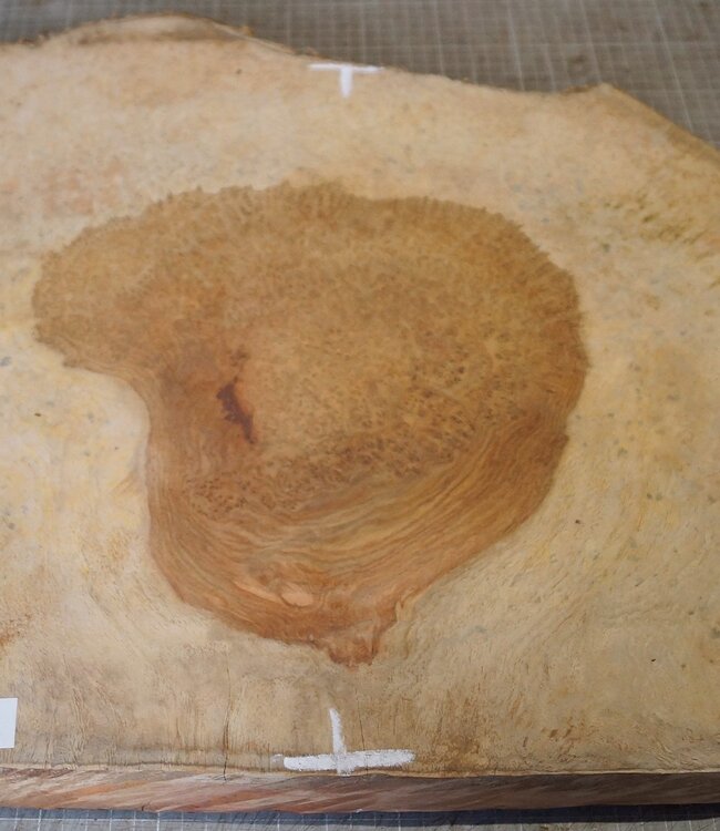 Amboina Maser, ca. 580 x 435 x 50mm, 8,06kg