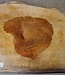 Amboyna Burl, approx. 580 x 435 x 50mm, 8,06kg
