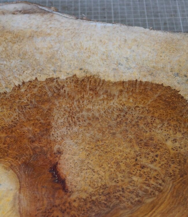 Amboina Maser, ca. 580 x 435 x 50mm, 8,06kg