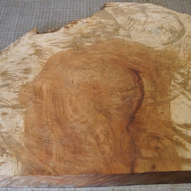 Amboina Maser, ca. 580 x 435 x 50mm, 8,06kg