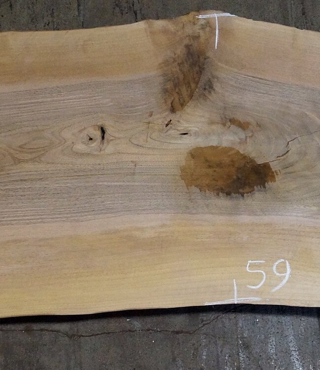 Nussbaum Bohle, ca. 1950 x 580 x 57 mm, 13429